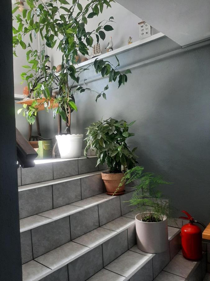 Pokoje Goscinne Cuma 웨바 외부 사진